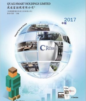 2017 年报